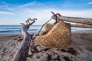 Baumstamm am Weststrand auf dem Fischland-Darß