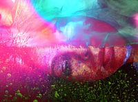 Facescape Pink