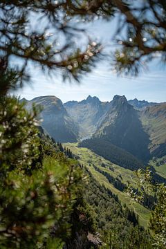 Saxer Lücker in Zwitserland bij daglicht