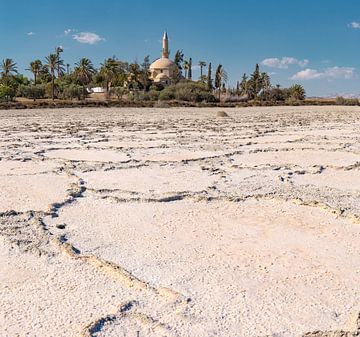 De moskee van Umm Haram aan het Larnaca zoutmeer, Larnaca, South-Cyprus van Rene van der Meer
