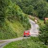 Typisch Frans plaatje, een koe op de weg, voor een oude Renault 4. van Martijn Joosse