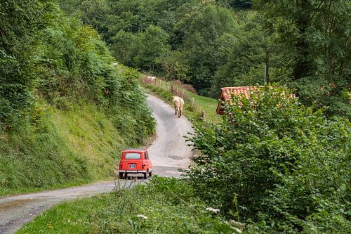 Typisch Frans plaatje, een koe op de weg, voor een oude Renault 4.