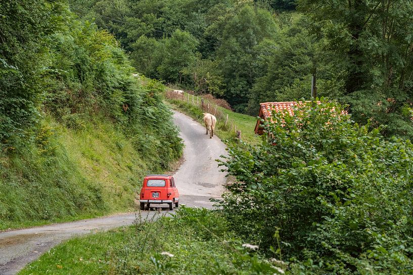 Typical French picture, a cow on the road, in front of an old Renault 4. by Martijn Joosse