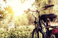 Geparkeerde fiets in de natuur van Besa Art thumbnail