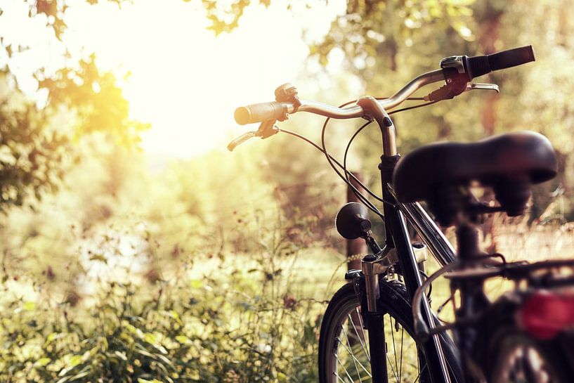 Geparkeerde fiets in de natuur van Besa Art