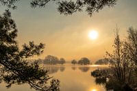Gouden zon