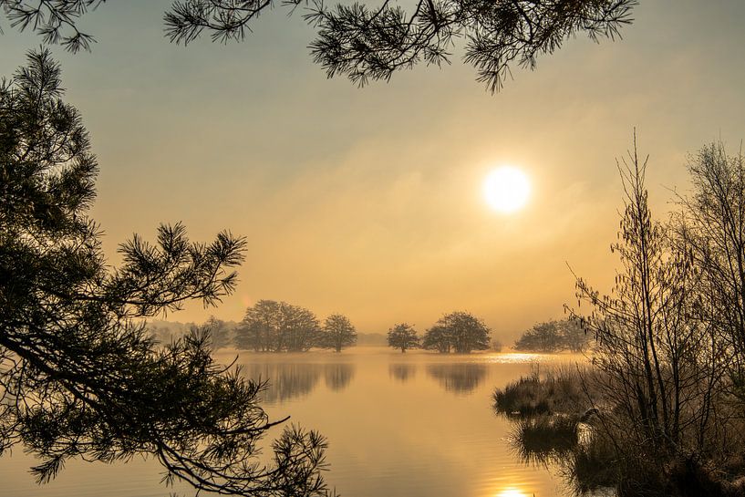 Soleil d'or par Marian Schepens