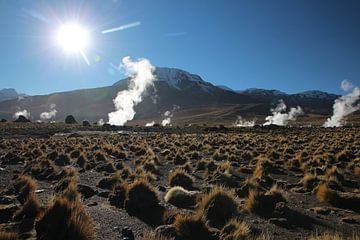 Geysers d'El Tatio, Altiplano, Andes, Chili sur A. Hendriks