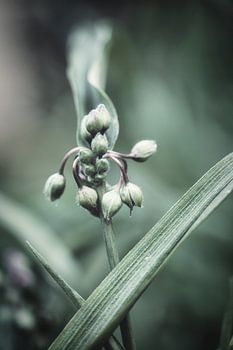 weiche farben schöne formen