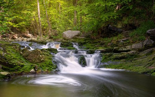 Hoëgnevallei, Hoge Venen, België