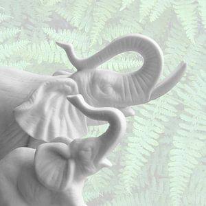 Eléphants en porcelaine 9.0