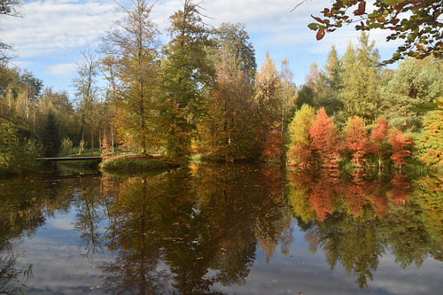 Schöner Herbst im Twickelse Wald, Delden, Overijssel