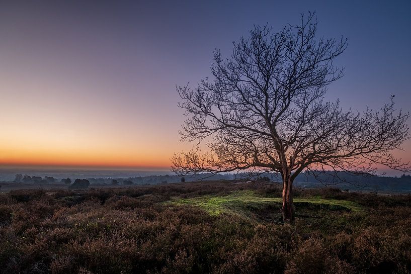 High and alone by Michel Schoneveld