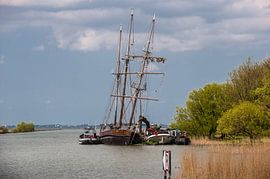 Decaying Glory by Brian Morgan