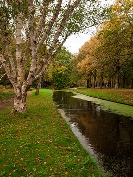 Herfst, Zuiderpark van Rinke Velds