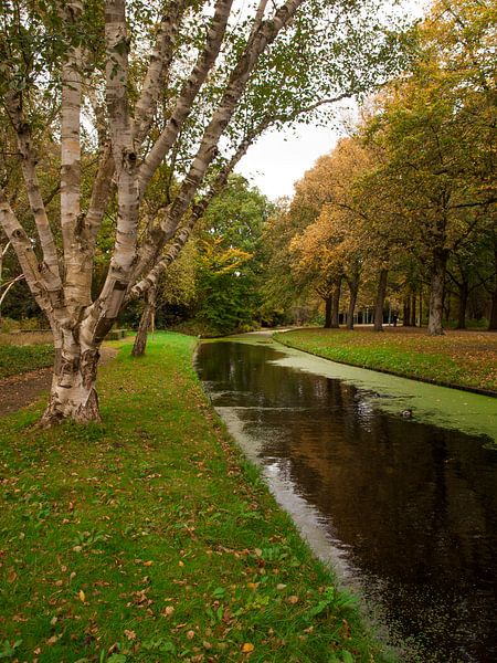 Herfst, Zuiderpark by Rinke Velds