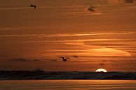 Zonsondergang aan zee van Gonnie van de Schans thumbnail