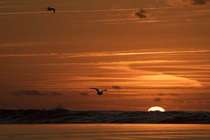 Sonnenuntergang am Meer von Gonnie van de Schans