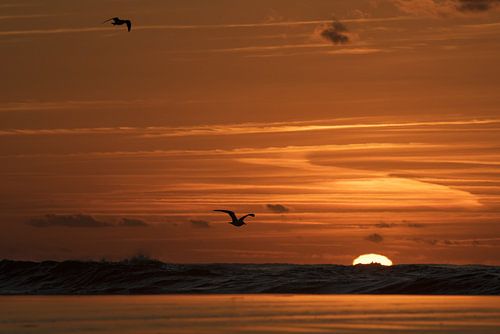Zonsondergang aan zee