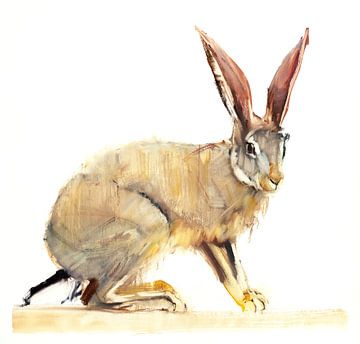 Cape Hare by Mark Adlington