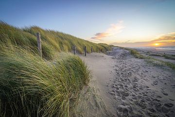 Duin en strand aan de kust van Nederland