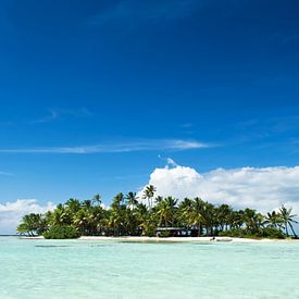 Une île inhabitée dans le Pacifique sur iPics Photography