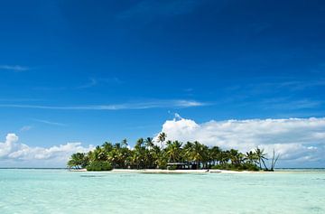 Une île inhabitée dans le Pacifique