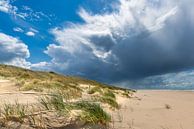 Duinen bij Callantsoog van eric van der eijk thumbnail