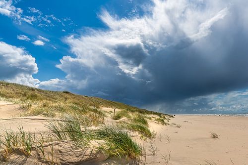 Dunes à Callantsoog