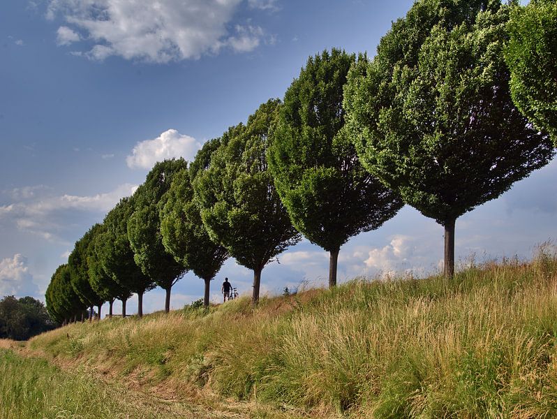 Schwieringhausen 6 par Edgar Schermaul