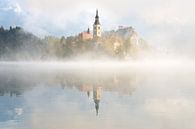 Nebel über dem Wasser am Bleder See von iPics Photography Miniaturansicht