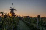 Molen bij zonsopkomst von Moetwil en van Dijk - Fotografie Miniaturansicht