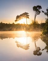 Mistige zonsopkomst bij de Oisterwijkse Vennen