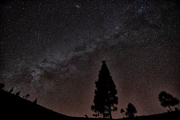 Voie lactée dans le parc national du Teide sur Angelika Stern