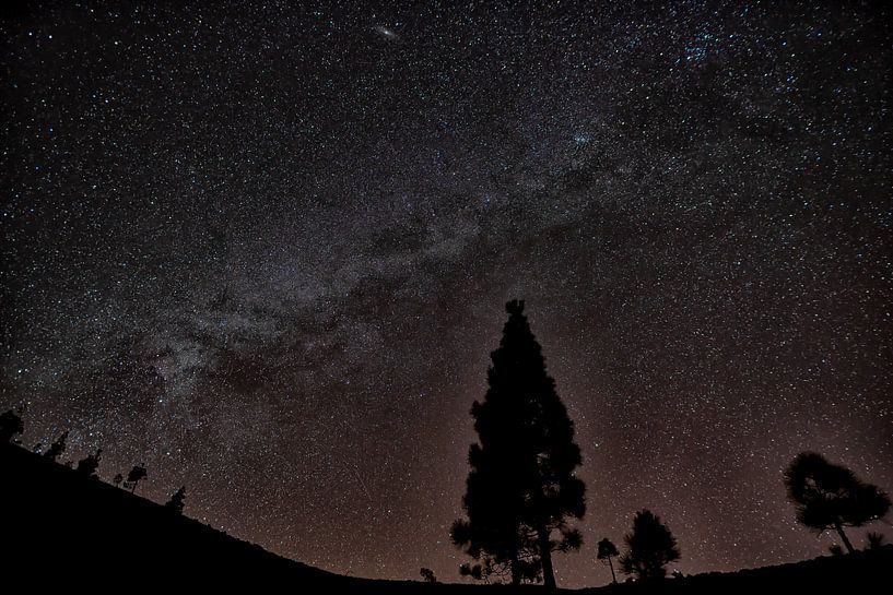 Melkweg in Teide National Park van Angelika Stern