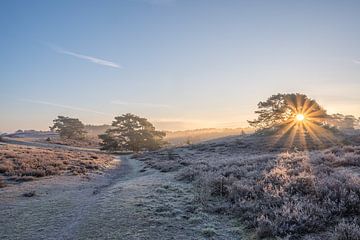 Sonnenaufgang auf der vereisten Heide an einem schönen Frühlingsmorgen