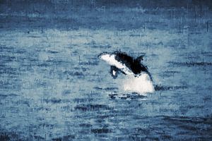 Orca im stil 'Deep Blue'