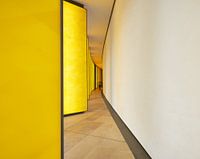 Yellow and white