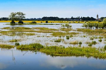 Rivier de IJssel bij Zalk van Greta Lipman