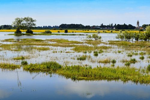 Rivier de IJssel bij Zalk