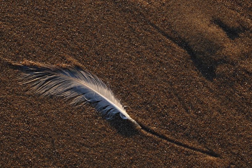 Fähre am Strand von Ronald Pol