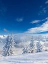 Winterlandschaft im Montafon von Dirk Rüter Miniaturansicht
