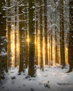 Lumière d'hiver sur Erel Turkay