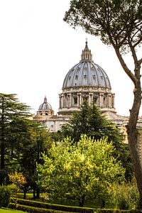 La basilique Saint-Pierre de la Cité du Vatican vue des jardins du Vatican