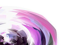 Roza ovo by Henk-Jan van Tuyl