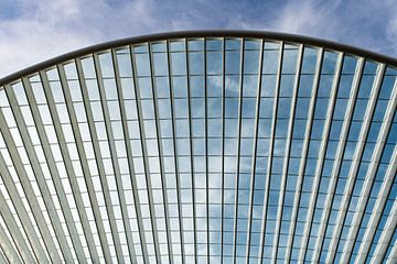 Futuristic roof of Liège-Guillemins station by Wim Stolwerk