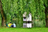 Talk am Teich in Lehde von Ingo Laue Miniaturansicht