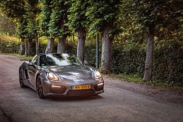 Porsche Boxster GTS type 981 by Rob Boon