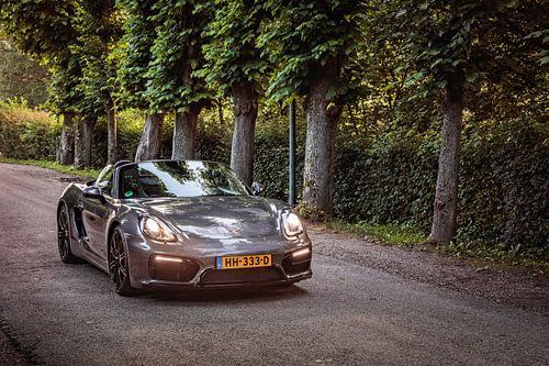 Porsche Boxster GTS Typ 981