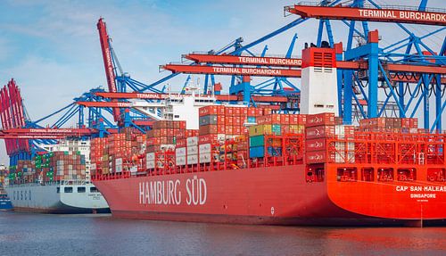 Containerschepen met containers die bij de containerterminal in de haven van Hamburg